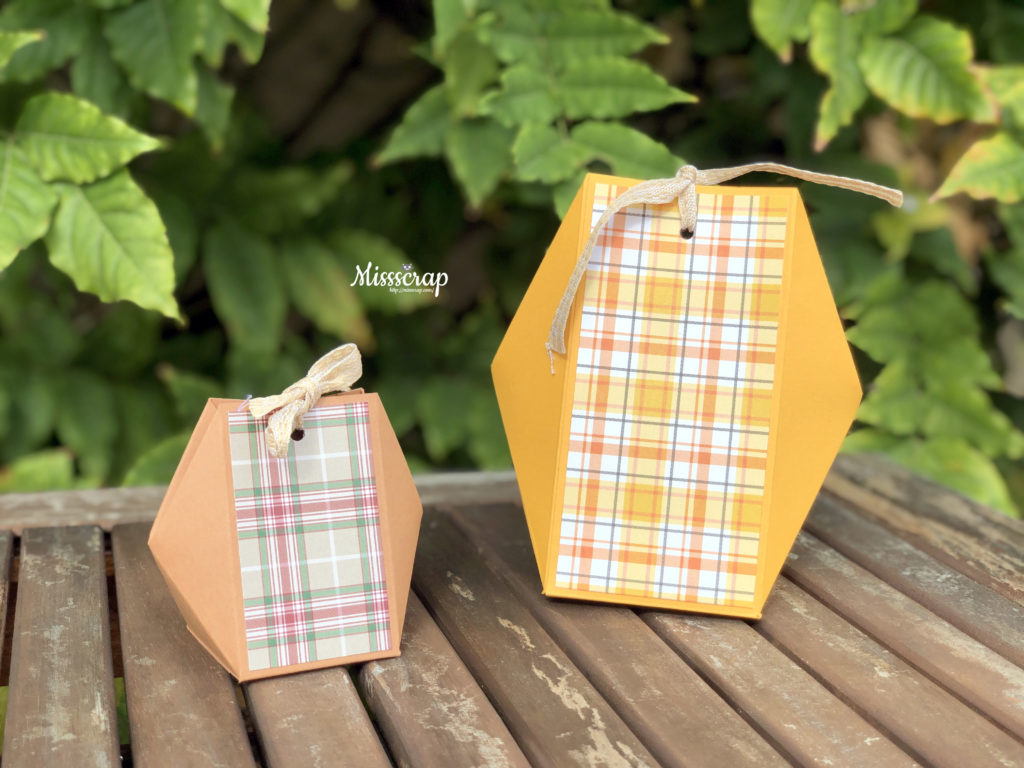 Live Fb #47: Faceted box for all occasions / boîte à facettes - Missscrap